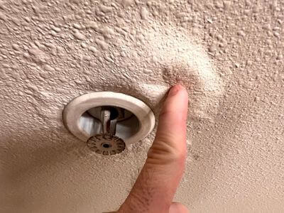 About Sherman TX Mold Removal Pros - mold removal experts in Sherman